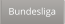 Bundesliga