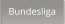 Bundesliga
